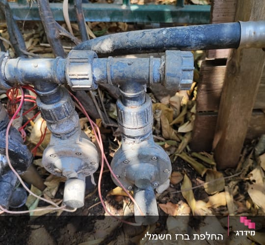 שסתומים וצינורות השקיה בגינה עם עלים יבשים